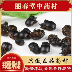 仙太医 蜣螂中药材100克 野生屎壳郎 圣甲虫 大将军 清水蜣螂虫