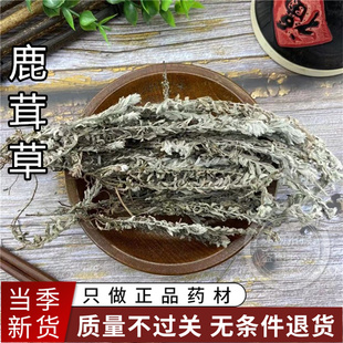 鹿茸草中药材六月霜500g包邮 千年艾 千重塔 白龙骨 白地蜈蚣新货