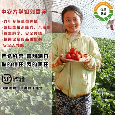 刘香萍草莓 小汤山原产地 无膨大催熟 安全美味奶油草莓现摘现发