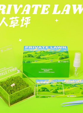 氧植青年一片私人草坪苔藓微景观小摆件造景生态绿植盆栽定制礼物