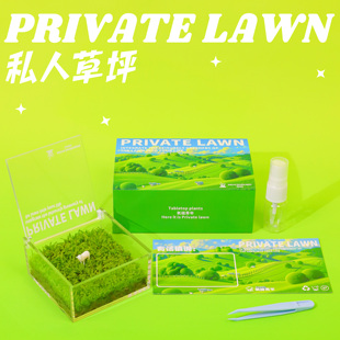 氧植青年一片私人草坪苔藓微景观小摆件造景生态绿植盆栽定制礼物