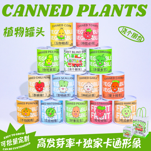 植物罐头diy草莓西红柿种子种植盆栽学生观察生长绿植礼物伴手礼
