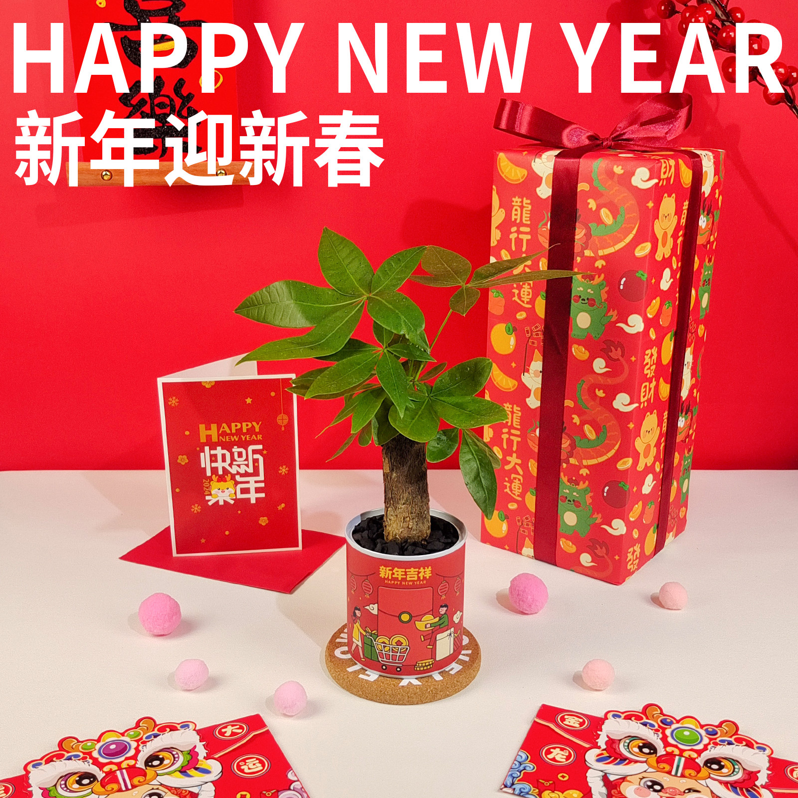 入植龙年开业新年礼物发财树富贵竹放青松办公室桌面盆栽室内植物