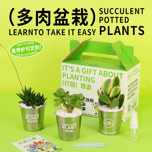 创意迷你摆件办公室桌面多肉植物