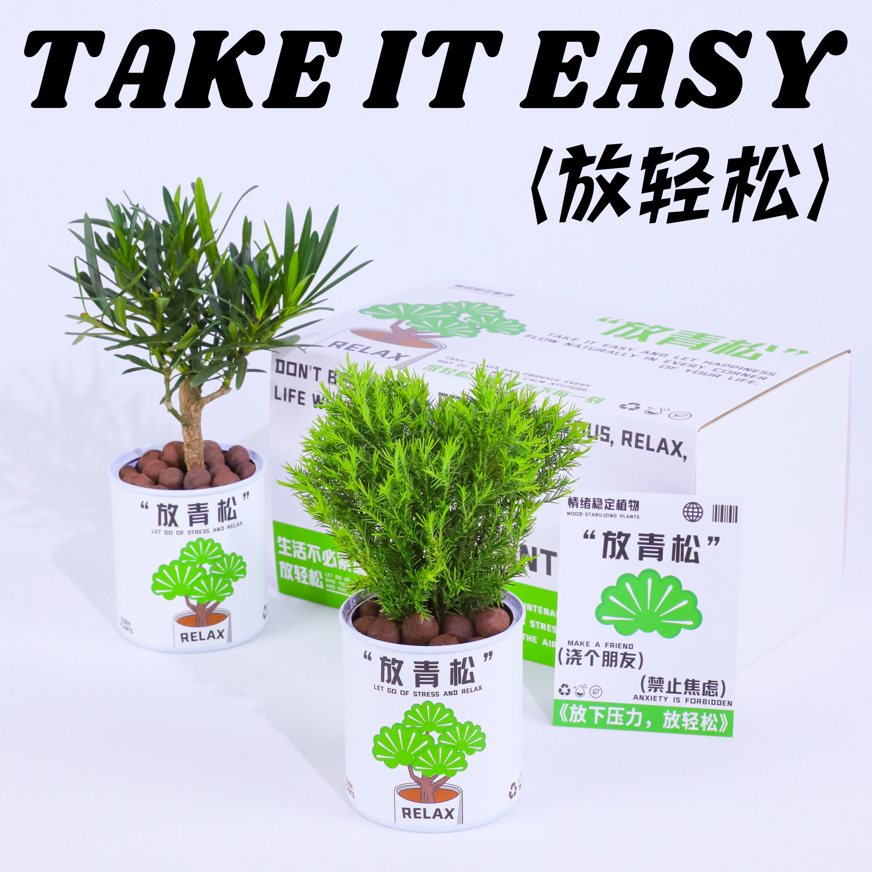 氧植青年放轻松青松雾凇绿植办公室桌面小盆栽创意植物礼物伴手礼