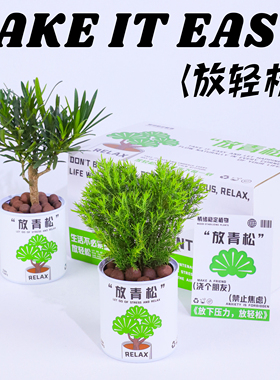 氧植青年放轻松青松雾凇绿植办公室桌面小盆栽创意植物礼物伴手礼