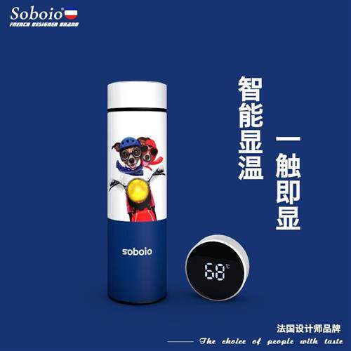 好·太太(Hota·ta)品质情侣杯子一对携带水杯冬天便携2021小巧可高性价比高么？
