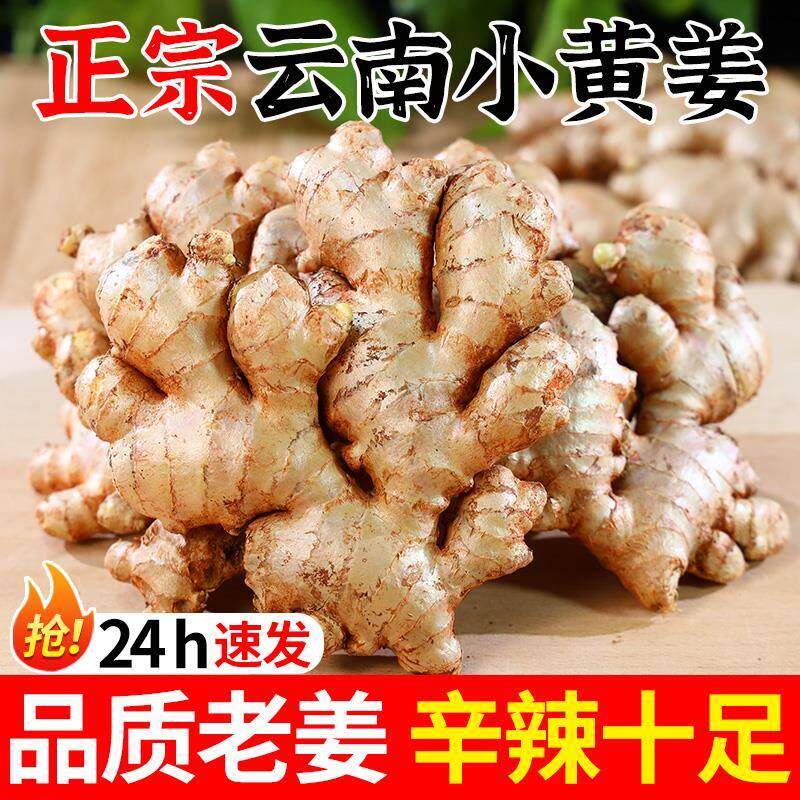 正宗云南小黄姜5斤红河新鲜生姜老姜现挖高山沙姜老姜土姜种蔬菜