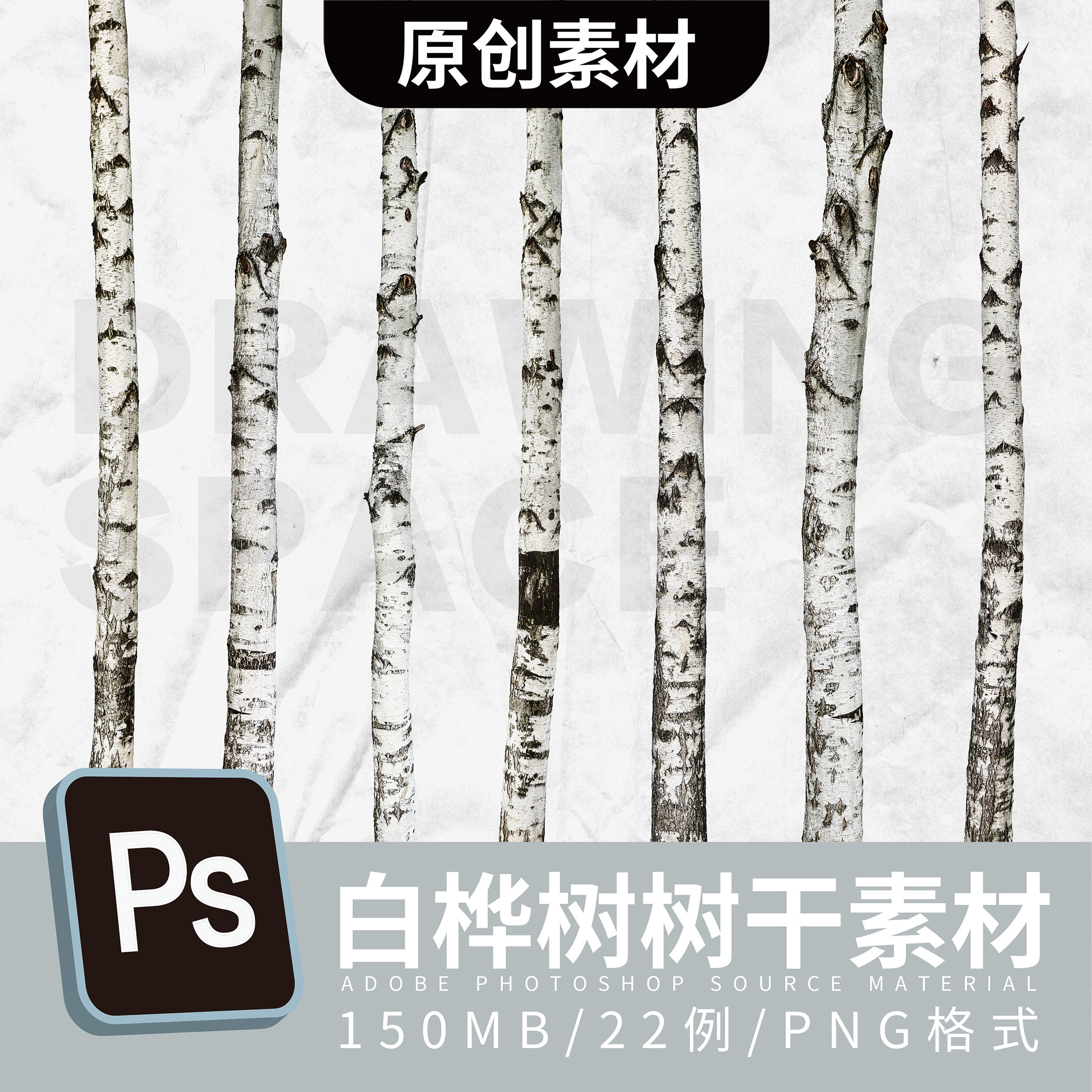 原创ps白桦树树干素材 png 格式