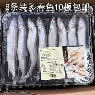 烧烤新鲜速冻 新鲜满籽多春鱼8条烧烤食材营养美味个个满籽托盘装