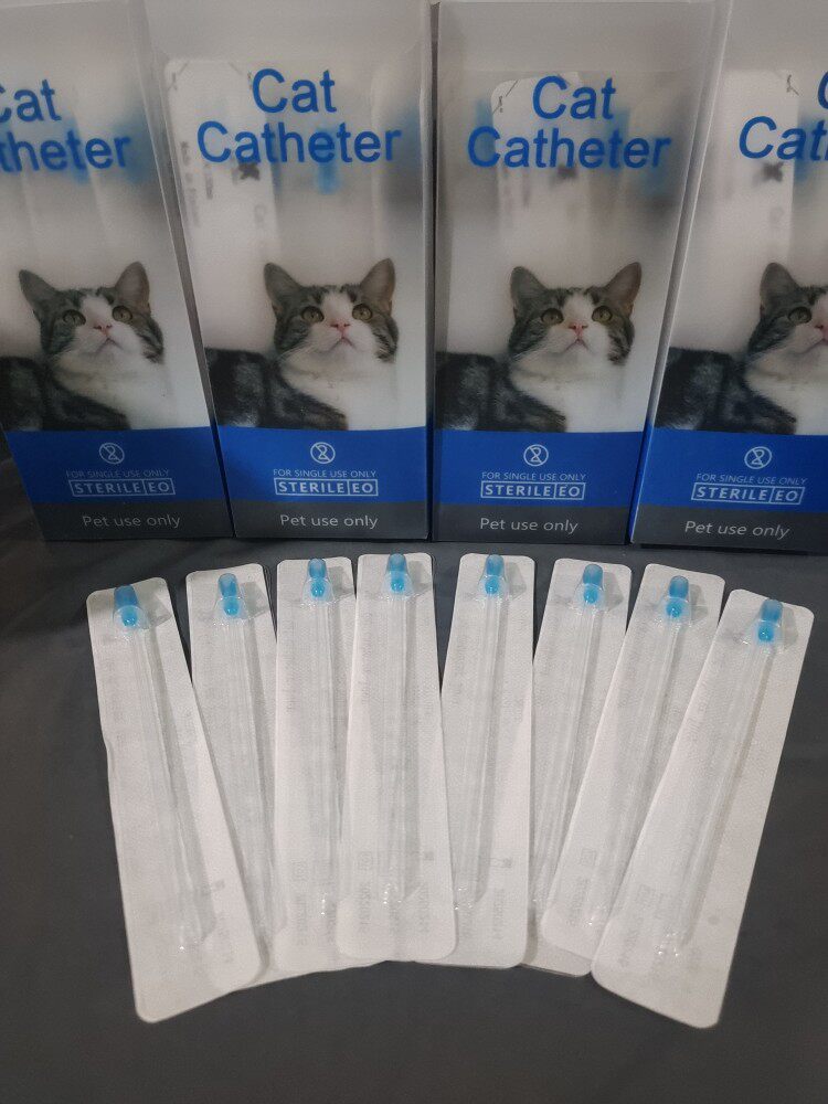 猫咪用导尿排尿管通结石尿道堵塞憋尿排尿管猫导尿 尿袋猫导探针