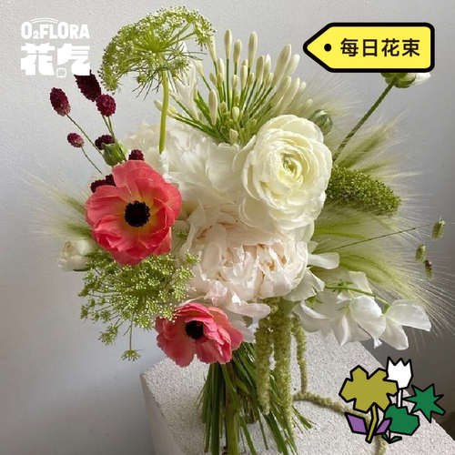 花气 |每日花束花艺师搭配稀有花材家居瓶花插花鲜切顺丰空运