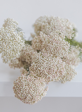 花气｜小米花高端花材云南昆明鲜花母亲节插花搭配送礼同城