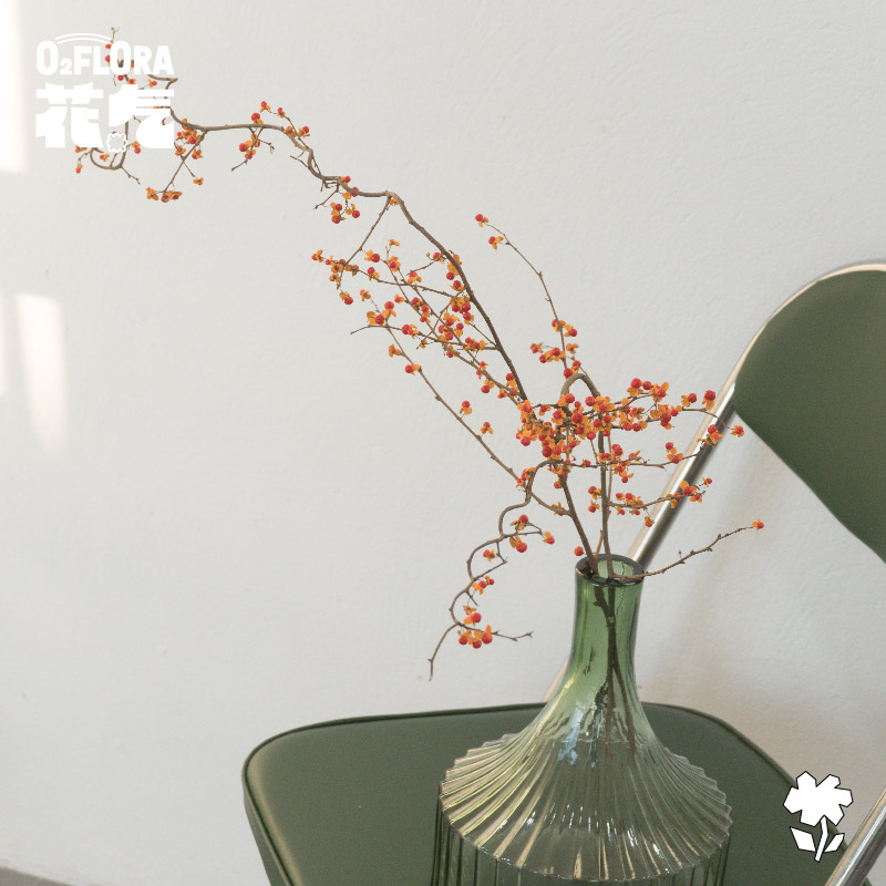 花气｜南蛇藤鲜切枝水培室内插花造型客厅桌面禅意造型艺术鲜花