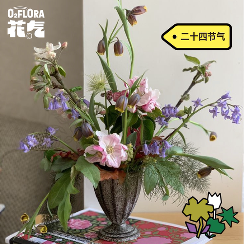 花气 | 二十四节气与花系列家居瓶花搭配自然感鲜花插花顺丰空运