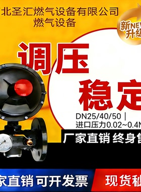 工业用RTZ/F减压阀DN25/40/50天然气调压器燃气调压器减压阀