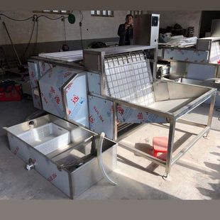 整套卤蛋生产加工线 鹌鹑蛋去皮机 鹌鹑蛋预煮清洗剥皮流水线