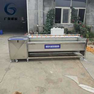 全自动毛辊去皮脱皮机清洗机 猪头猪蹄毛辊清洗机 菱角清洗机