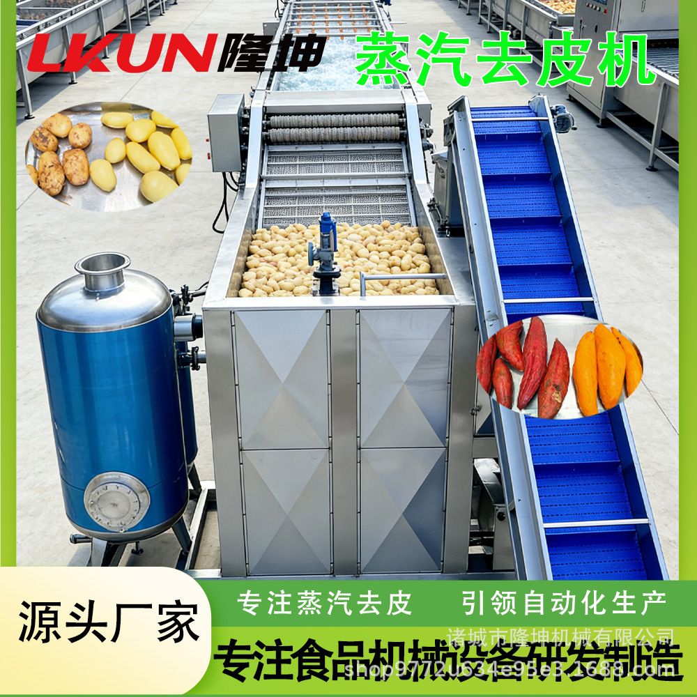 李子蒸汽去皮机 全自动土豆红薯蒸汽脱皮机 薯条薯片加工去皮设备