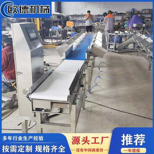 鱿鱼防水分选机海鱼分选机水产黄花鱼全自动分选皮带秤
