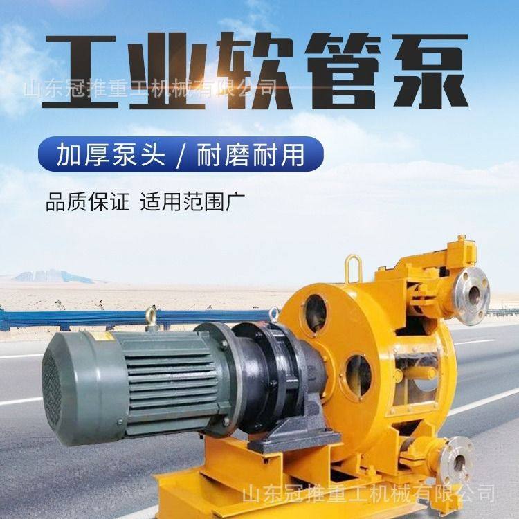 大流量软管泵污水纸浆蠕动泵 水泥发泡泥浆化学液体耐腐蚀挤压泵,五金/工具,电泵,淘宝优惠券,粉丝福利购,淘宝优惠卷