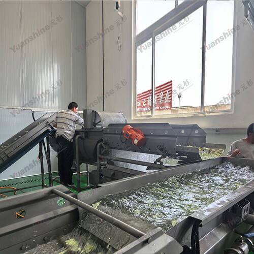 全自动涡流清洗机 油麦菜清洗沥水机 荷兰豆臭氧清洗机