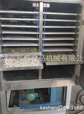 低温冻干机 蓝莓榴莲果蔬真空冷冻干燥机 药材鹿茸食品冻干设备