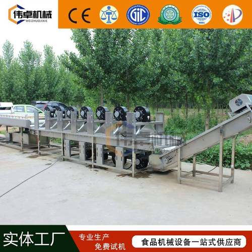 供应蔬菜表面风干沥水机水果自动风干机全自动网带翻转风干机