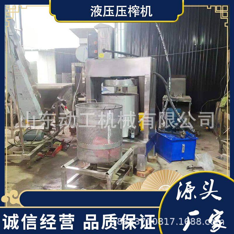 大型菠萝压榨脱水机 商用酸奶奶酪压榨脱水机 工业用螺旋压汁机
