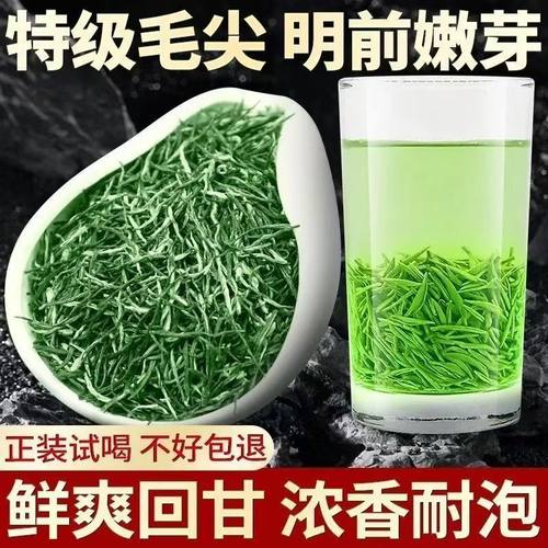信阳毛尖茶叶2025新茶叶