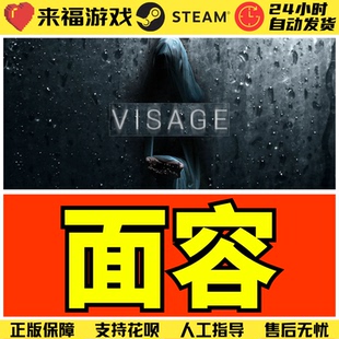 Steam正版 面容 Visage 恐怖游戏 全球国区KEY 激活码 CDKey