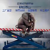 电动液压升降平台固定式 卸货举升机小型电动平台车升降台 升降机装