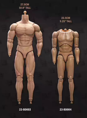 现货23TOYS 1/6 23 BD001-BD006男兵人素体不含手型脚型