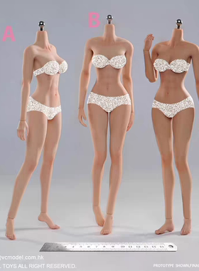 VERYCOOL VCD-01 1/6 女兵人 标准通用体型 硅胶中胸女素体 现货