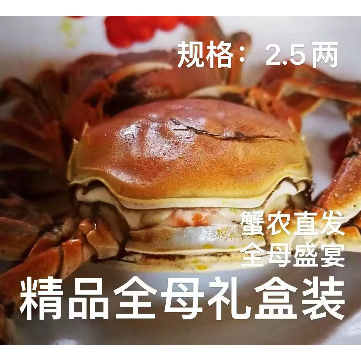 【活蟹】固城湖螃蟹鲜活大闸蟹河蟹精品特大全母海鲜水产中秋礼盒