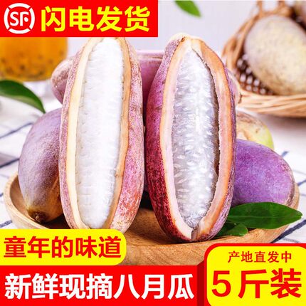 野生八月瓜新鲜水果八月炸当季预知子牛卵坨野香蕉网红甜瓜整箱装