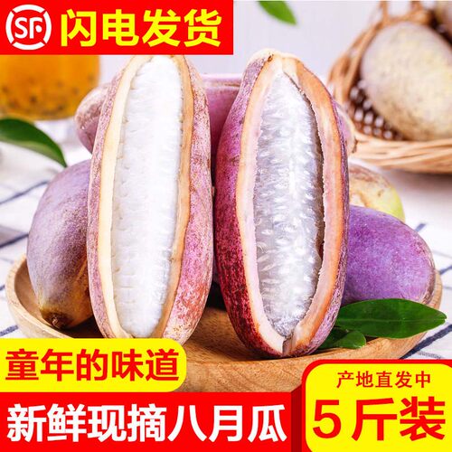野果八月瓜新鲜八月炸水果现摘