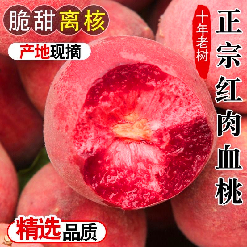 桃子正宗湖北老树血桃当季新鲜水果脆甜红肉非水蜜桃现摘5斤包邮