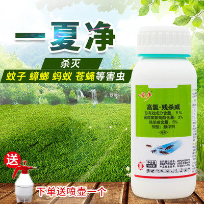 一夏净蚊蝇蟑螂室外宾馆杀虫剂