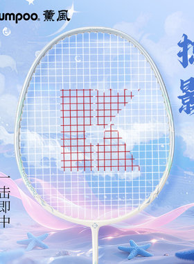 薰风初学者通用家庭羽毛球拍