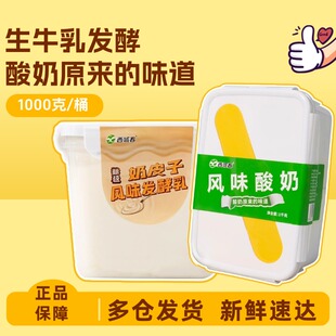 顺丰快递新疆西域春酸奶大桶装奶皮子2斤4斤风味老酸奶中通快递
