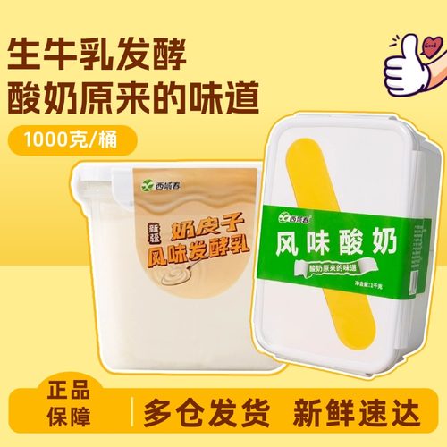 顺丰快递新疆西域春酸奶大桶装奶皮子2斤4斤风味老酸奶中通快递
