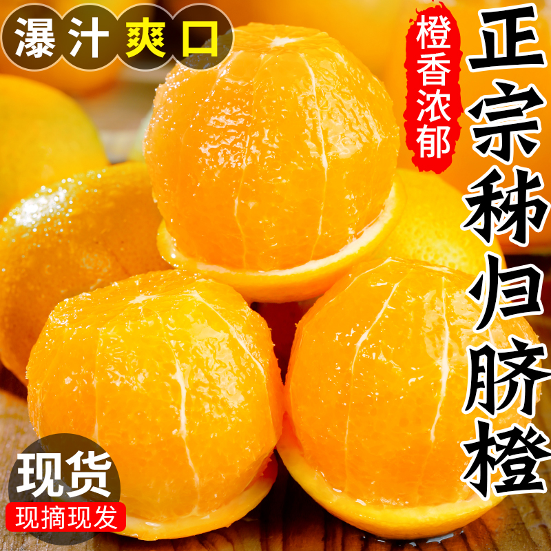秭归脐橙橙子新鲜水果正宗当季整箱批发10斤榨汁专用果冻橙商用
