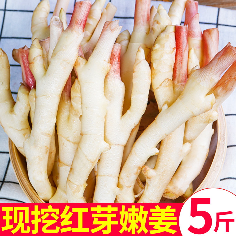 嫩姜新鲜仔姜子姜红芽姜四川指头生姜5斤非云南小黄姜泡老醋鲜姜