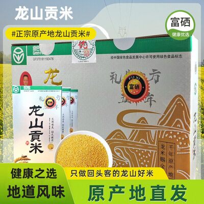 龙山贡米新小米富硒小米山东特产