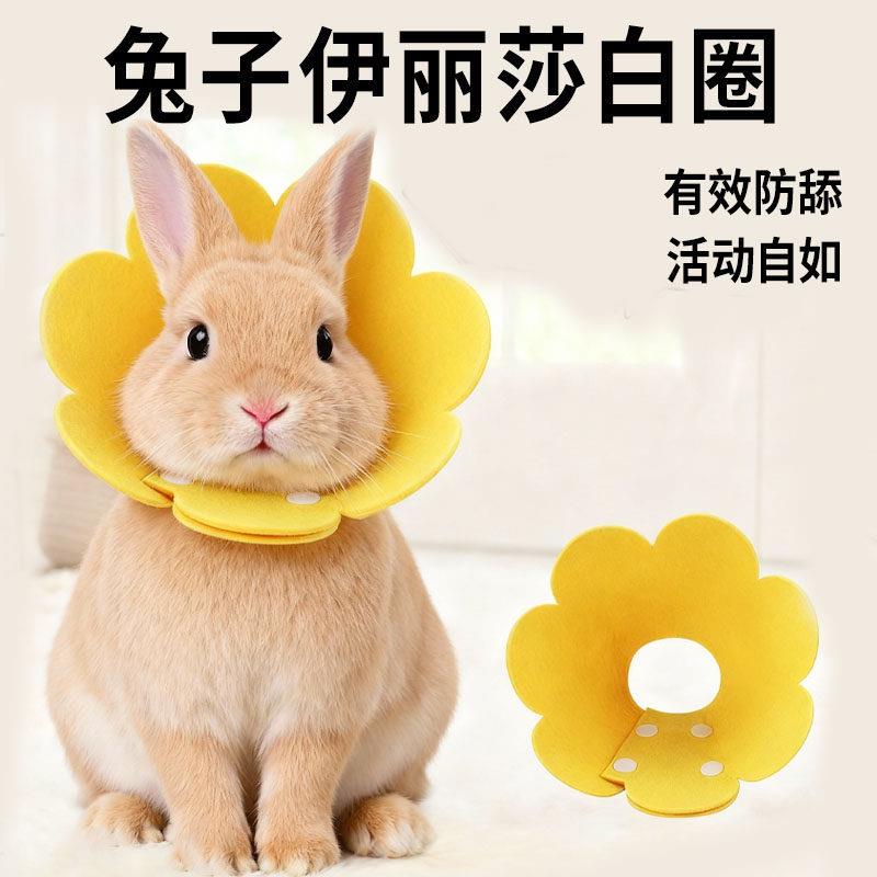 兔子伊丽莎白圈头套围脖脖圈侏儒兔脖套防咬洗澡指甲防止宠物用品