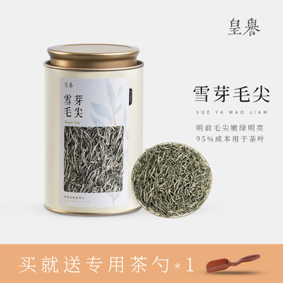 绿茶雪芽毛尖浓香型罐装