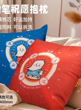 【部分地区包邮】粉笔文创祝愿抱枕祝你逢考必过原创蓝色红色沙发客厅宿舍办公椅护腰靠背垫办公室家用枕套可拆卸学生白领
