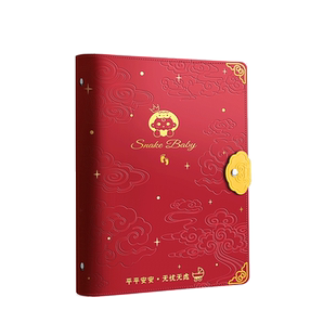 孕检收纳册报告单孕妈孕妇b超建档手册本产检包资料记录收纳袋文件夹怀孕检查蛇宝宝孕期初期必备用品档案册