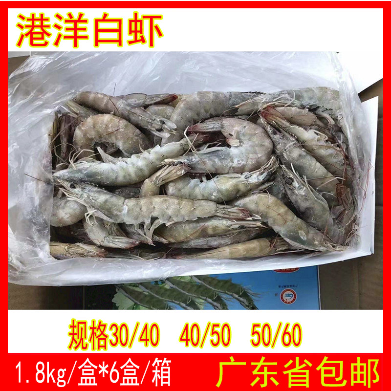 国产广东湛江基围虾港洋新鲜大虾鲜活白虾水产餐饮酒店食材商用